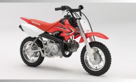 Young Riders, Big Thrills: Top Kids Dirt Bikes for Safe Fun