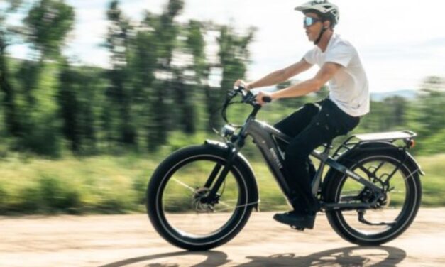 Eco-Friendly Journeys: Velowave Electric Bikes